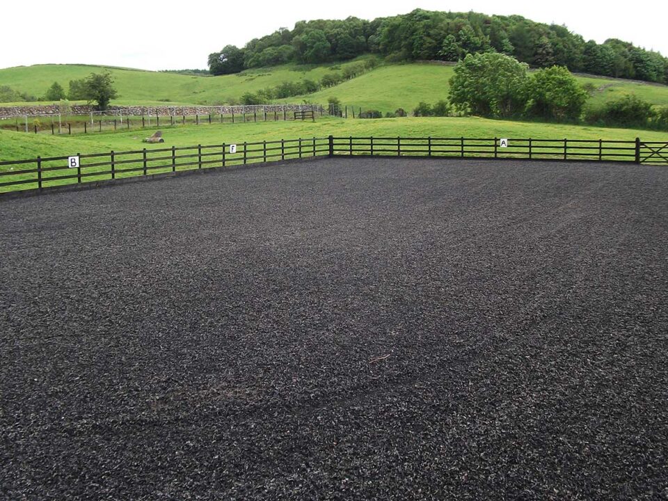 Eco Pet rubber chippings horse riding arena