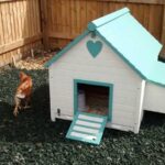 hen house with Eco Rubber Chippings