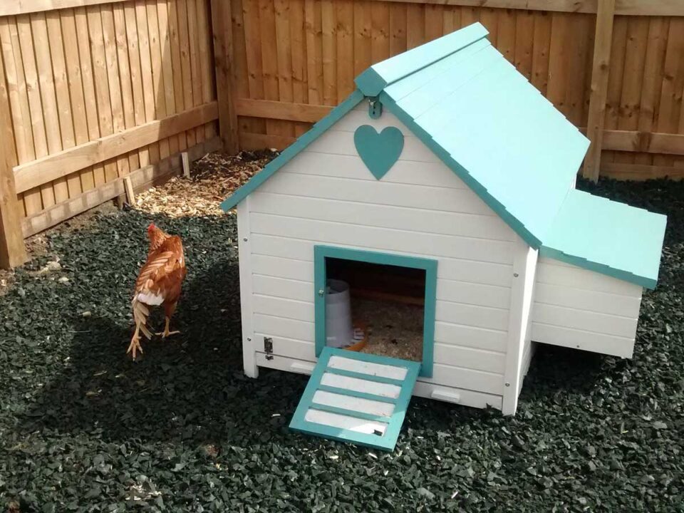 hen house with Eco Rubber Chippings